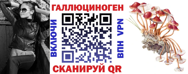 Галлюциногенные грибы Magic Shrooms  Полесск 